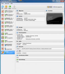 freebas 264x300 Microsoft 2008 Cluster in Virtualbox mit FreeNAS 8