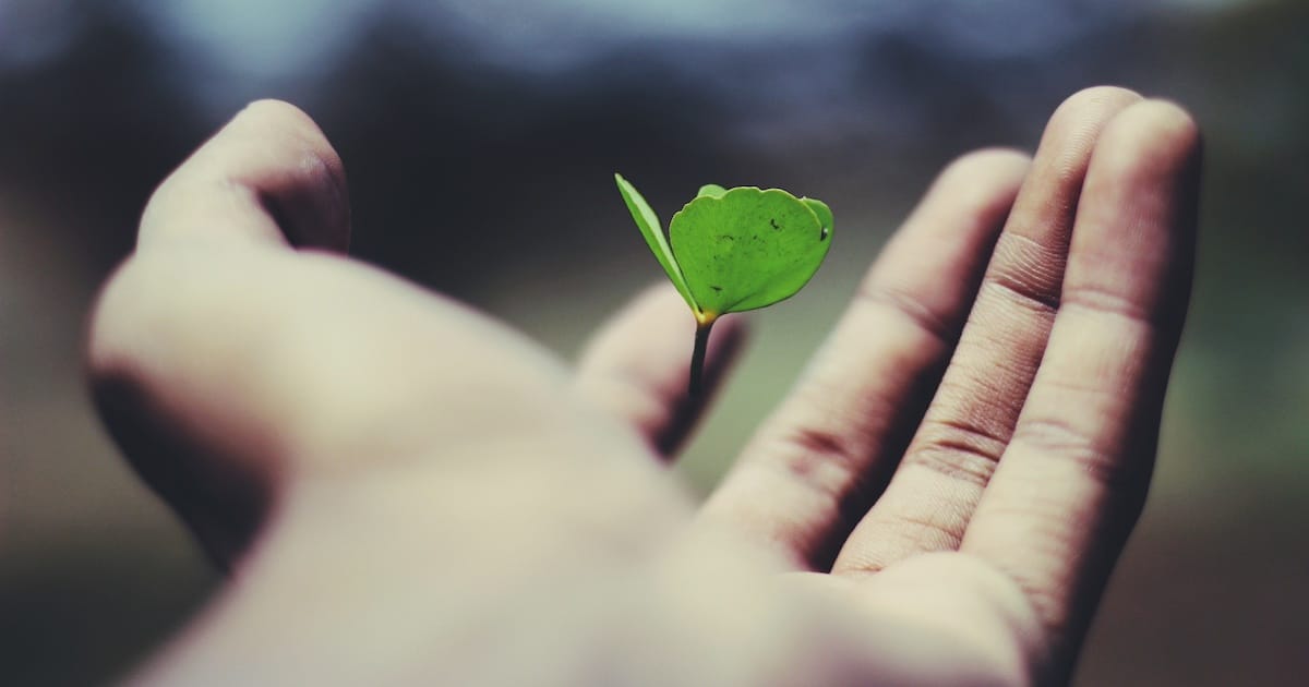 Unsere ukrainischen Gäste im Kesselhaus
