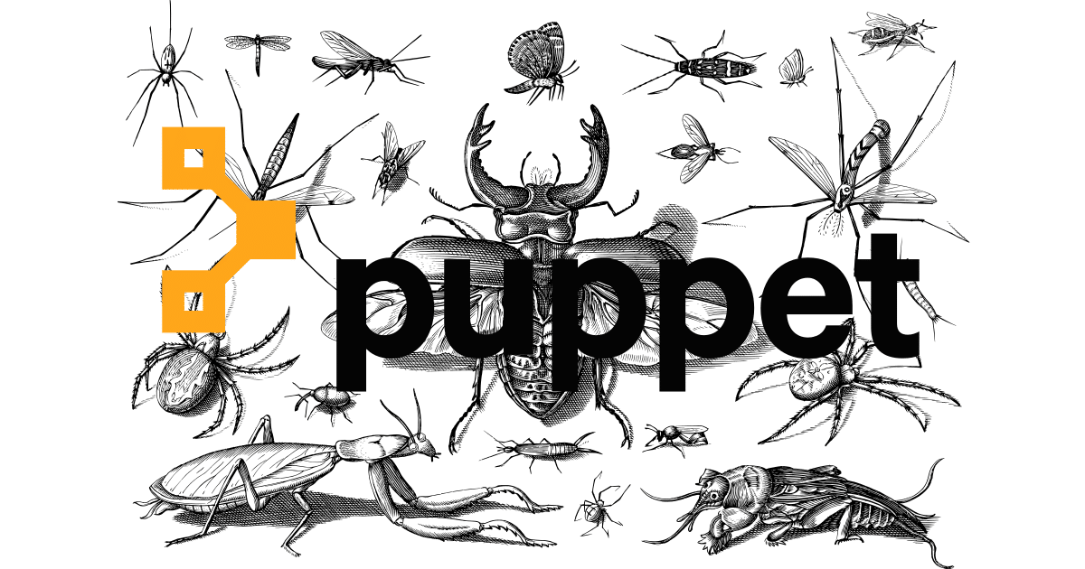 Kritischer Fehler in Puppet Version 7.29.0 und 8.5.0